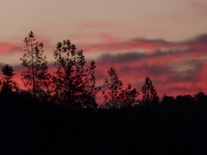 sunrise pink